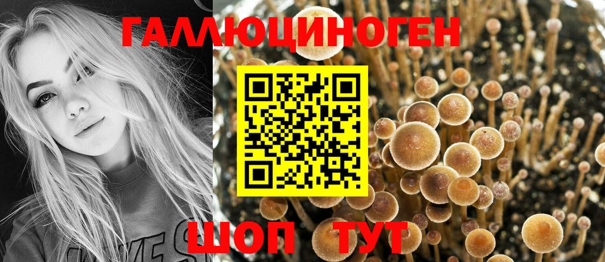 Москва  Галлюциногенные грибы MAGIC MUSHROOMS  даркнет сайт  Вход с VPN 